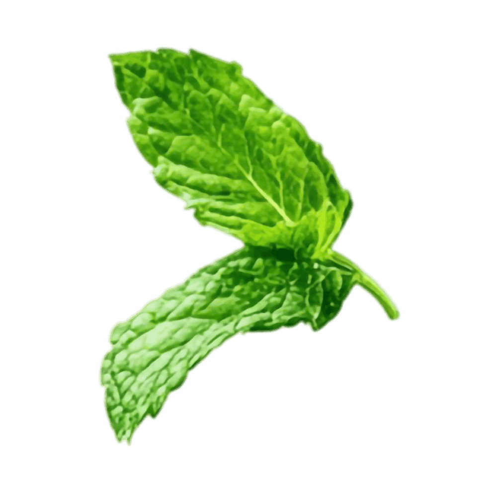 Milla Ayran Nanəli 1l