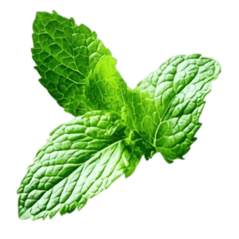 Milla Ayran Nanəli 1l