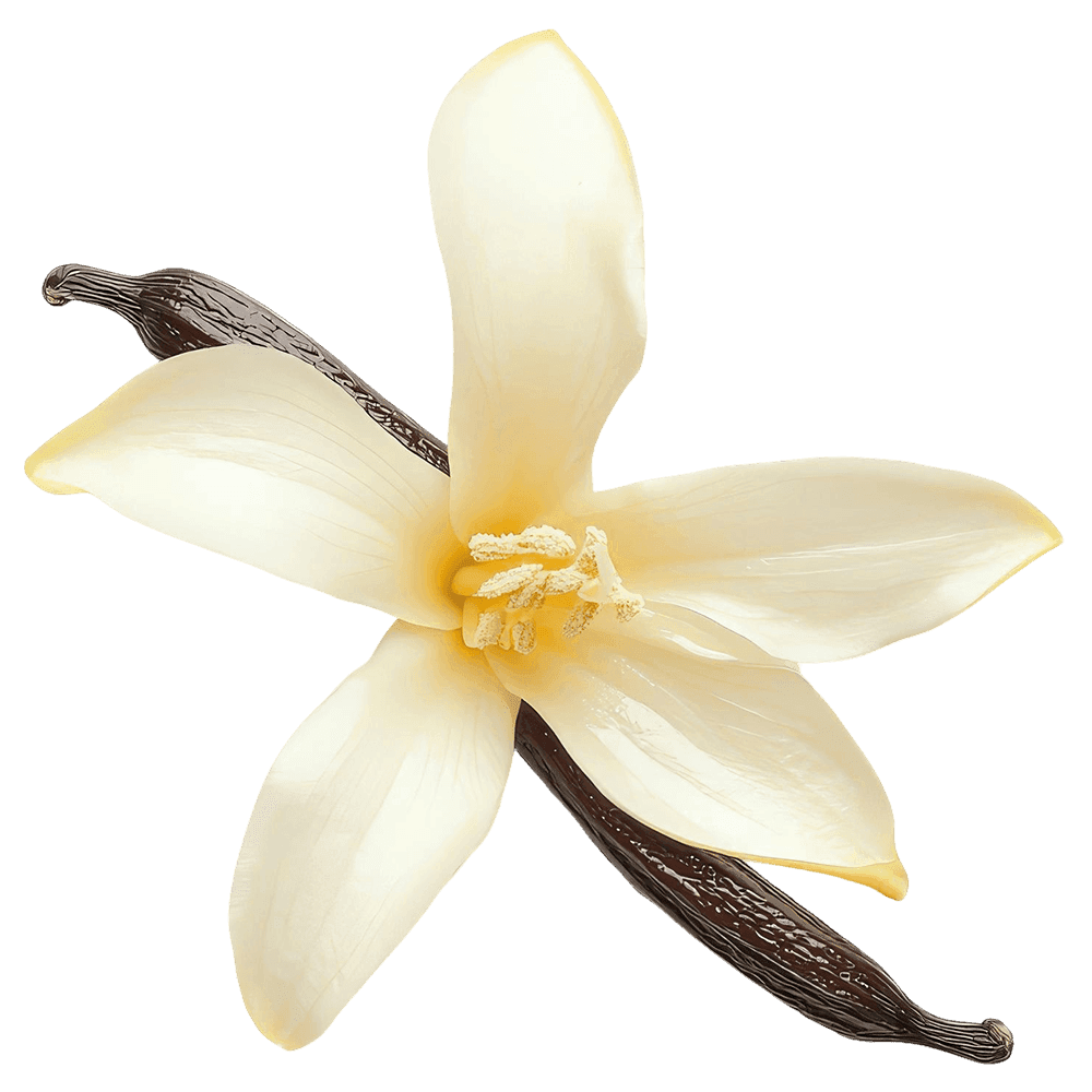 Dondurma vanilli 125ml