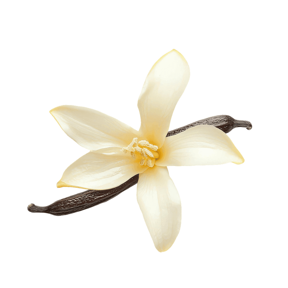 Dondurma vanilli 125ml