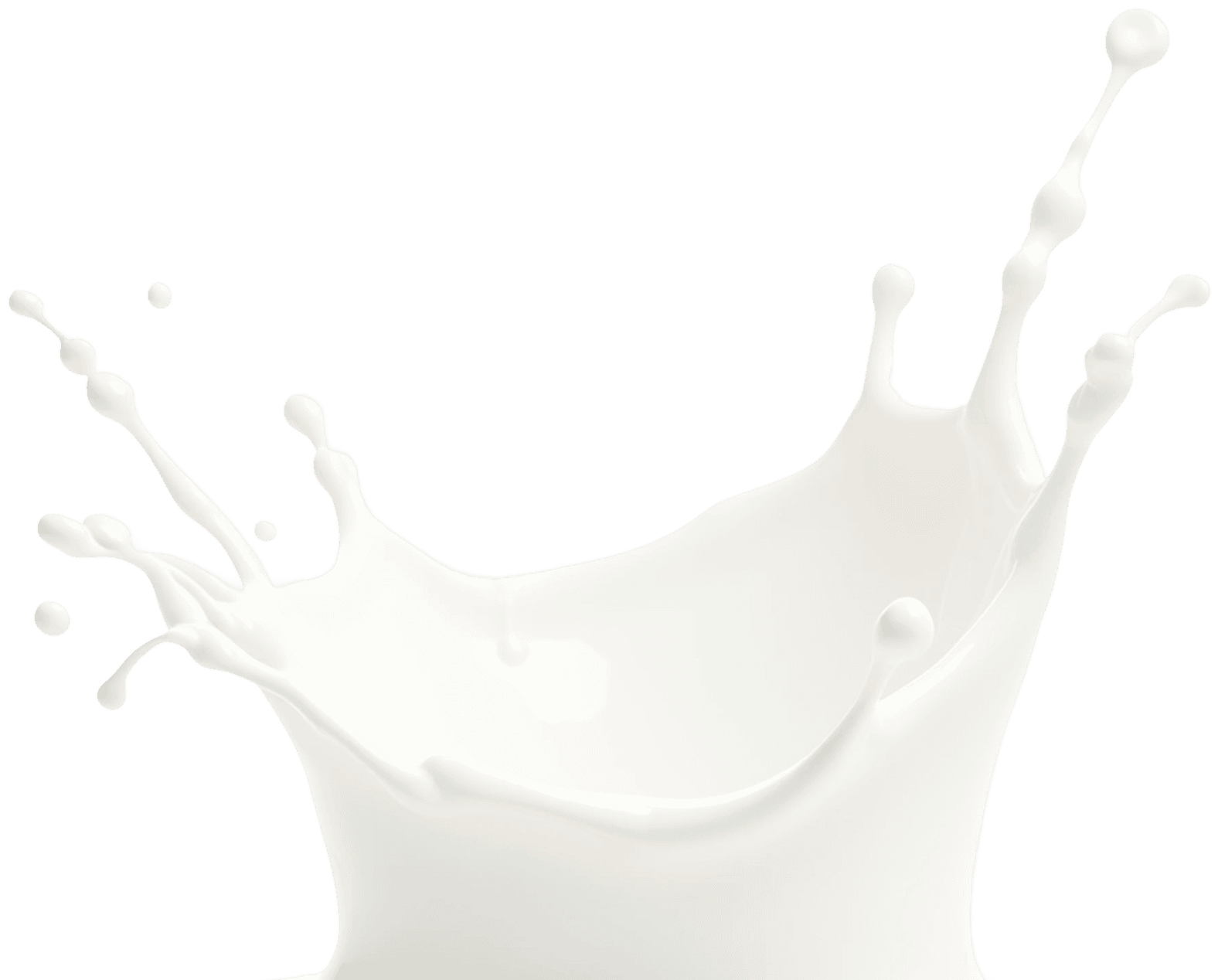 Etibarlı tərəfdaşlarımız