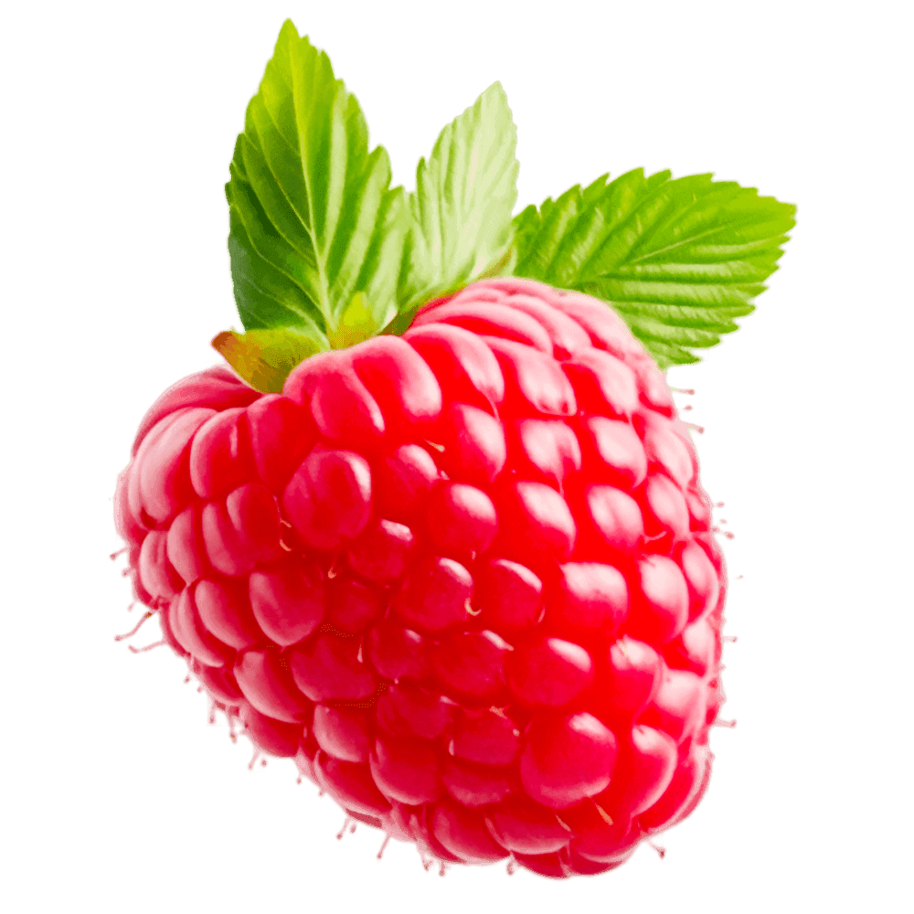 Buzlu Dondurma Moruq 100ml