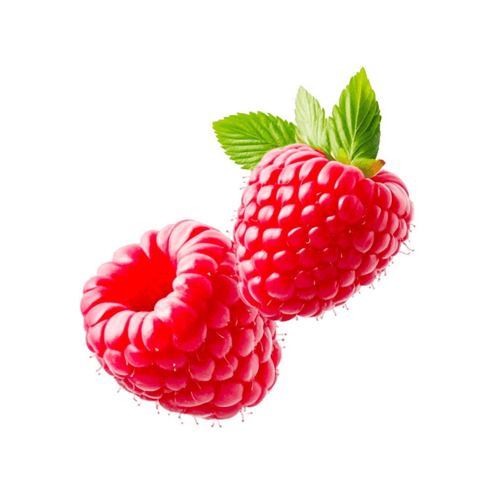 Buzlu Dondurma Moruq 100ml