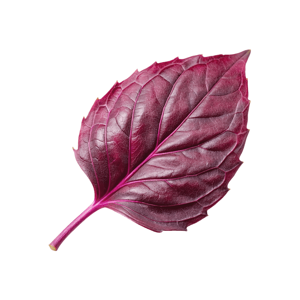 Milla Ayran Reyhanlı 1l