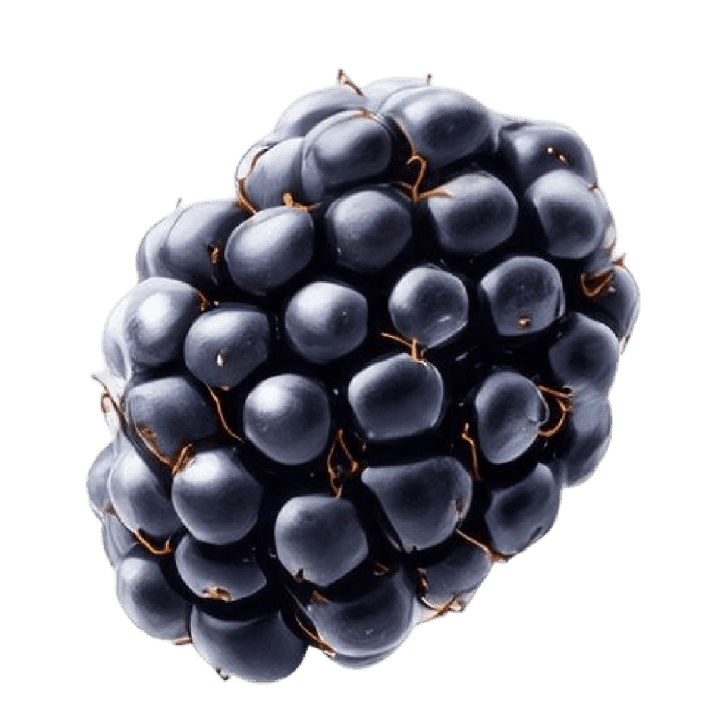 Milla Yoğurt İçməli Giləmeyvə 270 ml